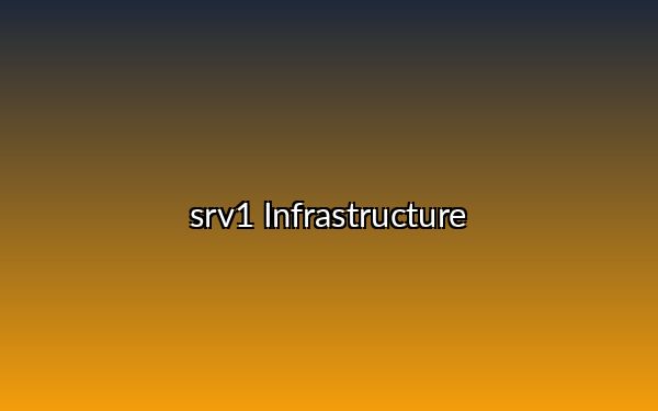 srv1 Infrastructure: dashboard monitoring